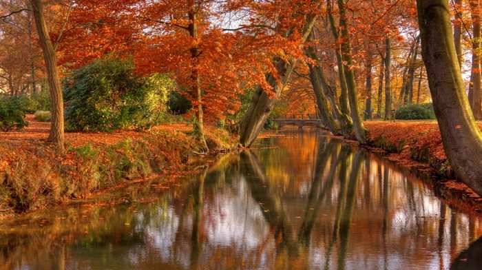fall, reflection, shrubs, bridge, leaves, park, trees, canal, landscape, nature, water