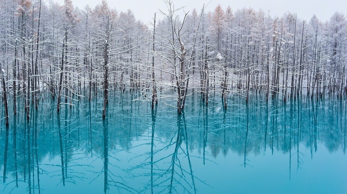reflection, turquoise, landscape, cold, nature, Japan, mist, snow, lake, winter, trees, forest, water