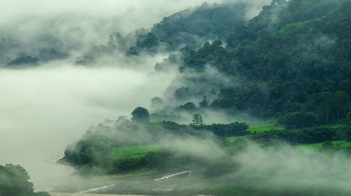 river, nature, landscape, India, mountain, mist, grass, spring, green, forest