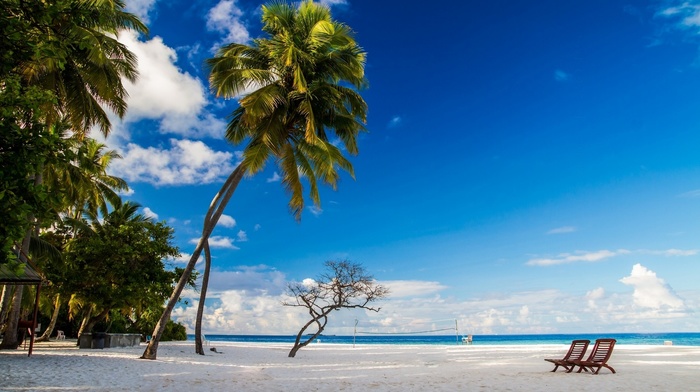 sand, nature, sky, morning, tropical, beach, white, chair, landscape, blue, island, Maldives, palm trees, sea