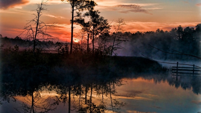 Florida, swamp, trees, clouds, mist, sunrise, water, reflection, nature, sky, landscape