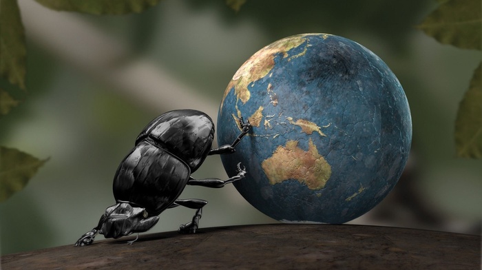 Dung beetle, insect, crabs, Earth, CGI