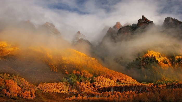 mountain, fall, morning, trees, nature, sunrise, Colorado, mist, forest, landscape