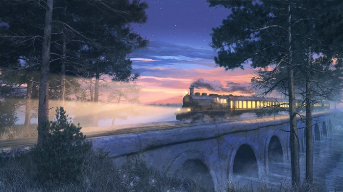night, steam locomotive, train, ArseniXC, bridge