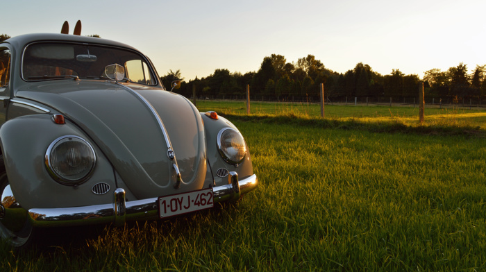 Volkswagen, Volkswagen Beetle, car, Oldtimer, vintage
