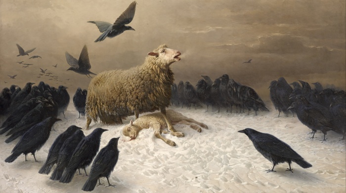 crow, classic art, sheep, Albrecht Schenck, birds, painting