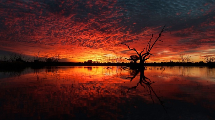 horizon, silhouette, water, landscape, plants, clouds, dead trees, branch, sunset, trees, reflection, mirrored, nature