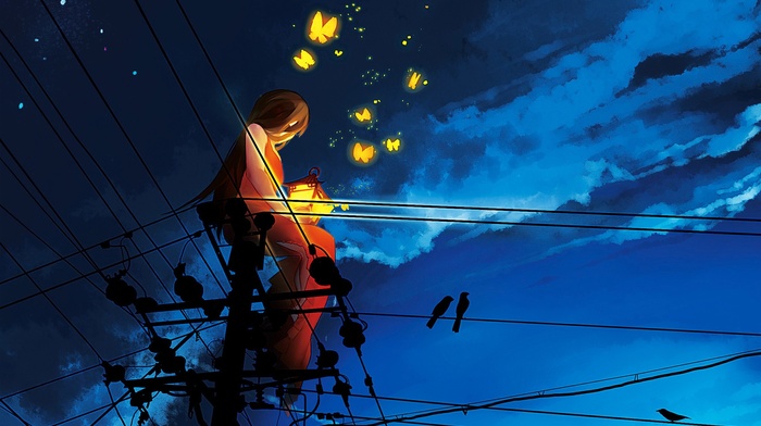 butterfly, sunset, silhouette, original characters, birds, power lines, sunrise, sitting, red dress, utility pole