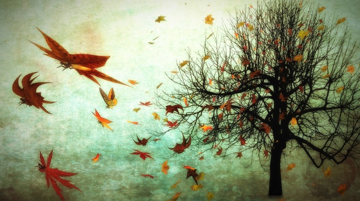 fall, trees, photo manipulation