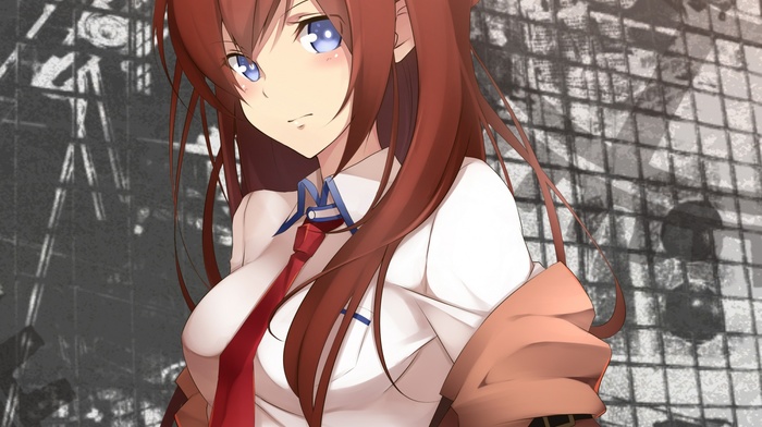 Makise Kurisu, anime, steinsgate, anime girls