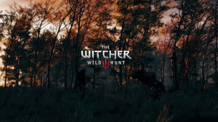 The Witcher 3 Wild Hunt