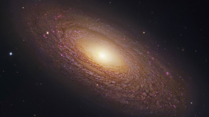 space, galaxy, ngc 6503