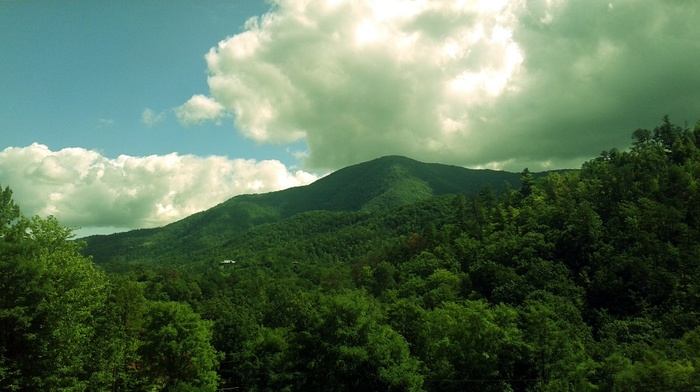 landscape, forest, Tennessee, Smoky Mountains, mountain