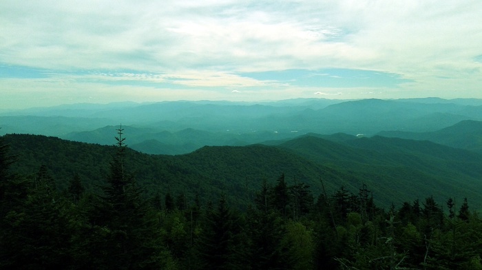 forest, landscape, mountain, Tennessee, Smoky Mountains