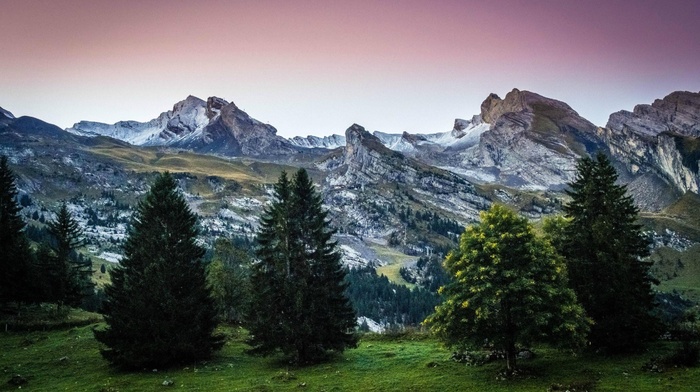 France, Aravis, pine trees, trees, nature, The Aravis, grass, mountain