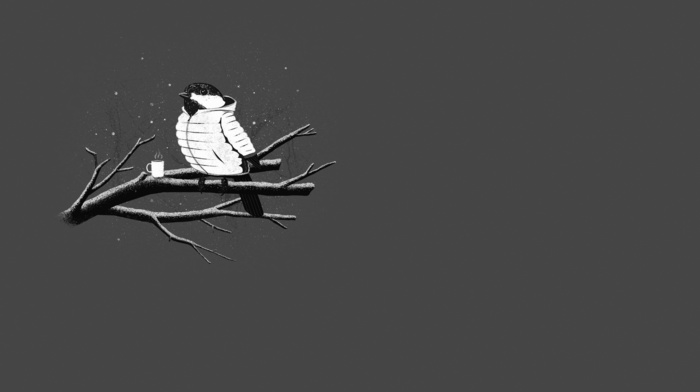cold, birds, branch, minimalism, gray