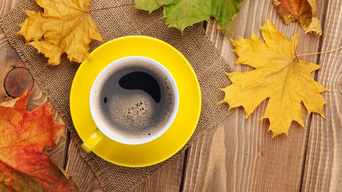 fall, table, maple leaves, coffee, mugs