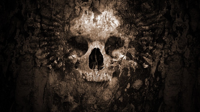 skull, artwork