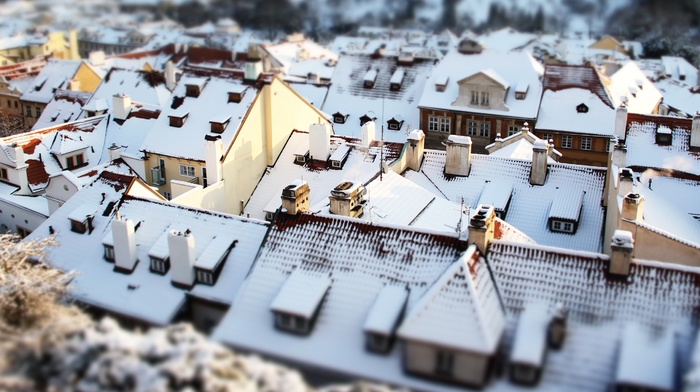 building, snow, tilt shift, house, rooftops