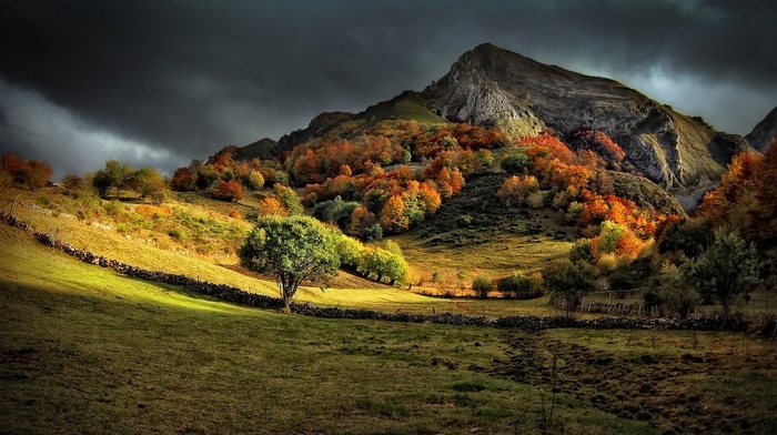 fall, dark, nature, sunlight, trees, landscape, grass, mountain, clouds