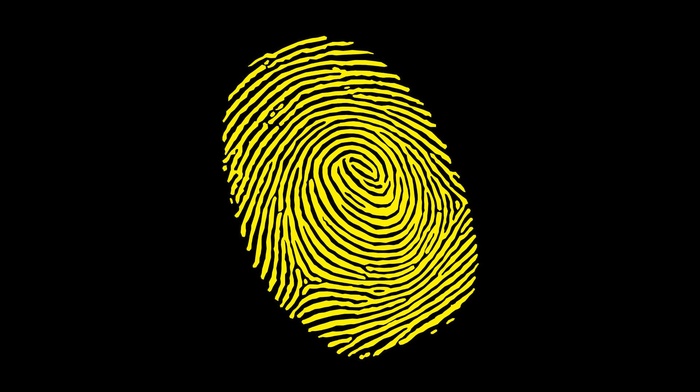 fingerprints