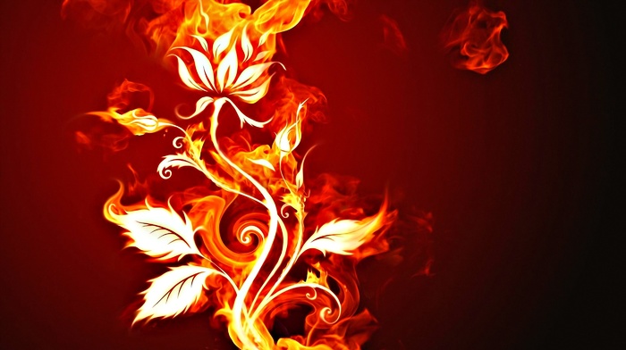 flowers, fire