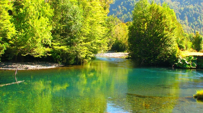 water, emerald, landscape, Chile, river, trees, mountain, green, forest, nature