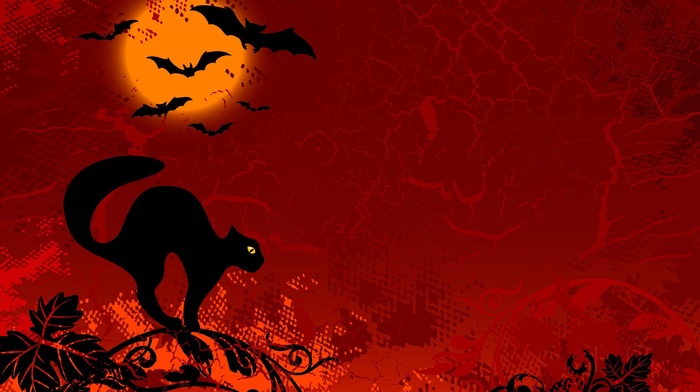 Halloween, black cats