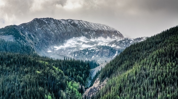 snow, nature, mountain, Colorado, clouds, landscape, trees, forest