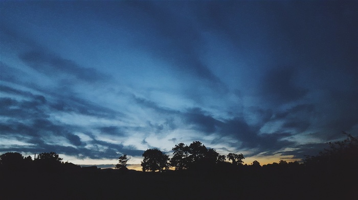 clouds, sky, sunset, nature, trees, night, landscape