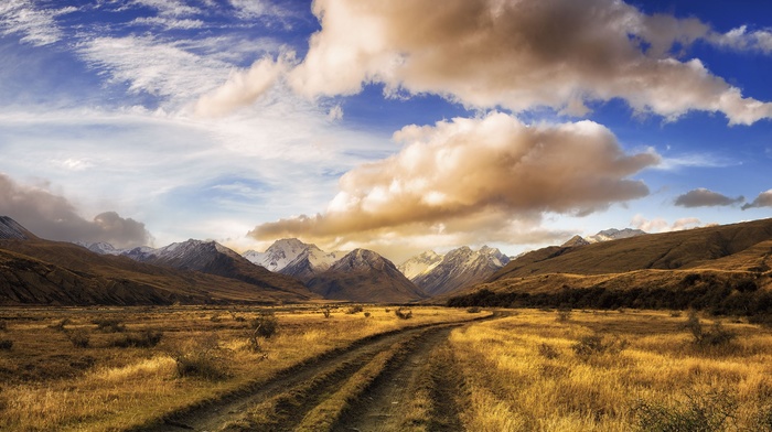 panoramas, shrubs, dirt road, clouds, New Zealand, landscape, dry grass, sunset, snowy peak, nature, mountain