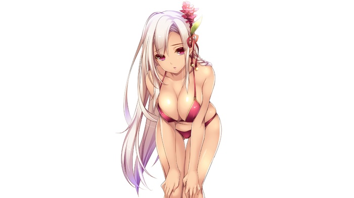 Flower Knight Girl, anime girls, looking at viewer