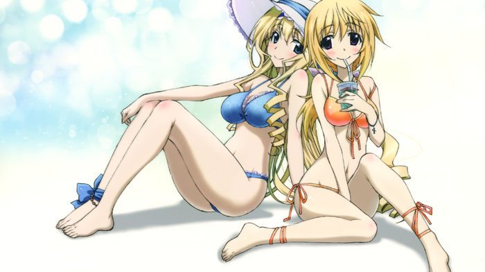 anime girls, Alcot Cecilia, Infinite Stratos, dunois charlotte