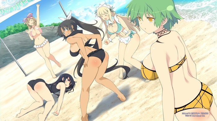 anime girls, Senran Kagura