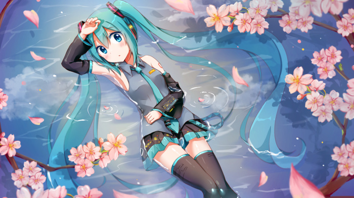 Vocaloid, anime girls, Hatsune Miku