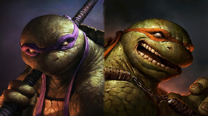 Donatello, Raphael, Teenage Mutant Ninja Turtles