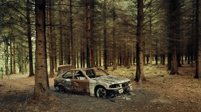 forest, BMW, vehicle, wreck, car