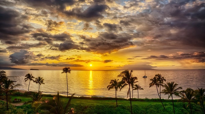 clouds, grass, beach, sky, nature, shrubs, sunset, landscape, sea, Maui, palm trees, island