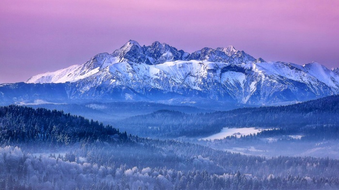 Slovakia, landscape, forest, snow, mountain, pink, winter, sky, mist, nature