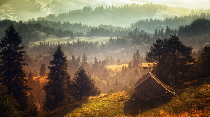 landscape, cabin, morning, forest, trees, mist, hill, nature, grass