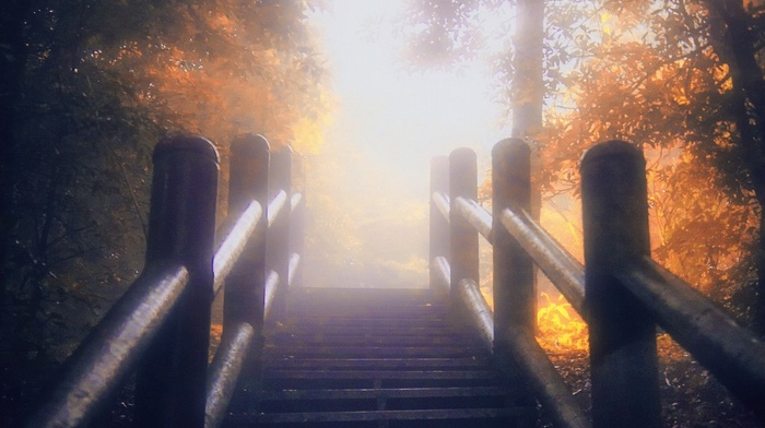 landscape, fence, sunlight, stairs, trees, fall, mist, leaves, sunrise, bridge, nature