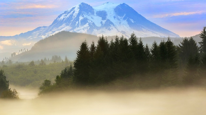 nature, sunrise, forest, mountain, clouds, snowy peak, Mount Rainier, trees, landscape, mist