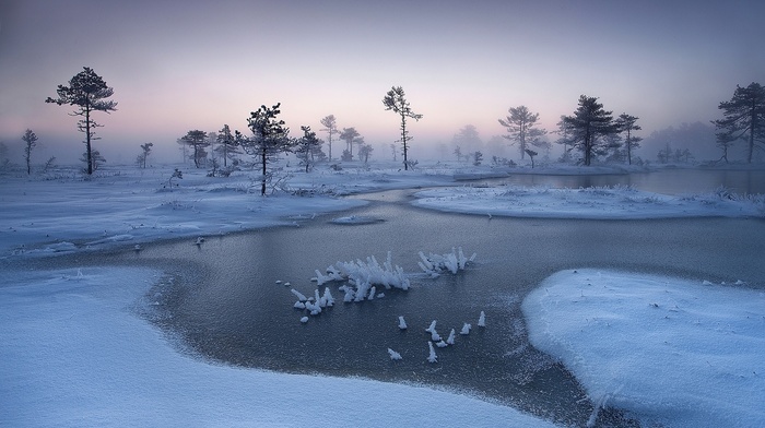 mist, winter, landscape, cold, trees, nature, snow, sunrise, Estonia, river, frost