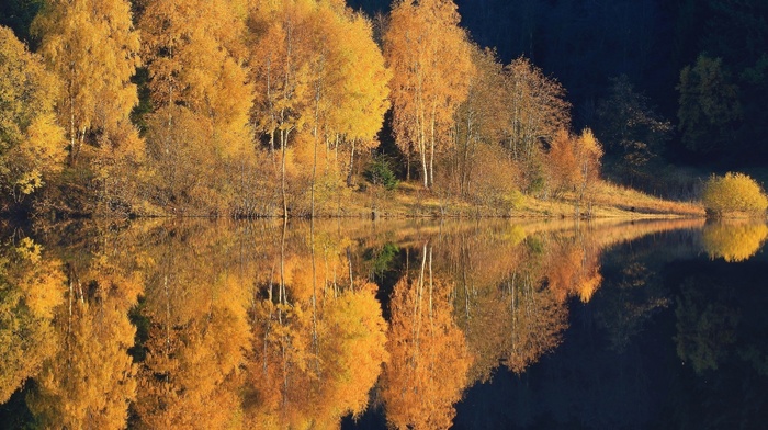 calm, trees, lake, hill, water, forest, yellow, nature, landscape, reflection, fall
