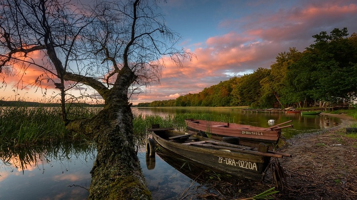 forest, calm, boat, reeds, clouds, trees, lake, nature, dock, landscape, sunset, water