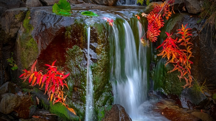 waterfall, nature, red, landscape, moss, leaves, colorful