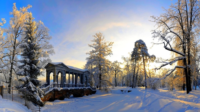 winter, trees, snow