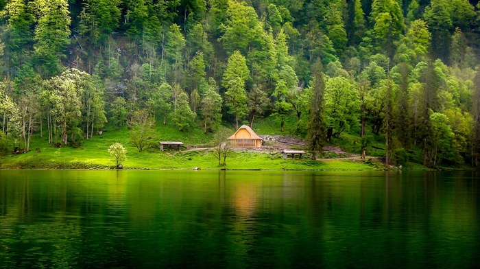 water, cabin, lake, landscape, green, nature, forest, trees, grass, mist, hill