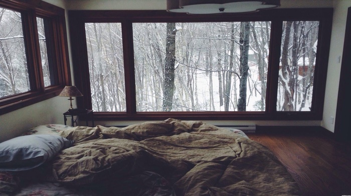 winter, window, pillows, room, forest