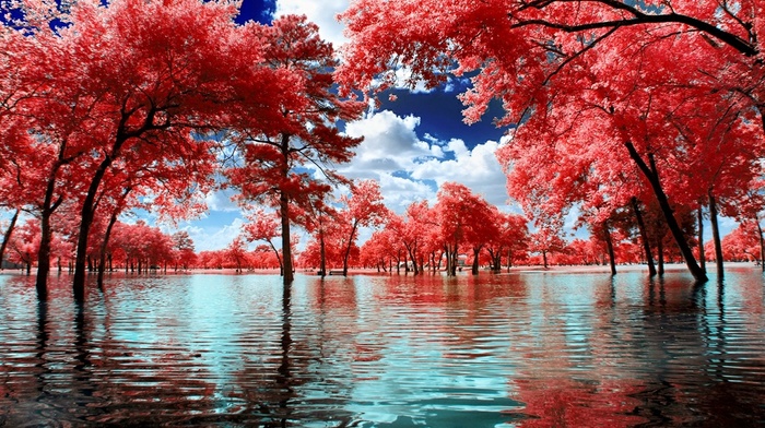 blue, trees, surreal, park, white, clouds, pink, nature, water, landscape